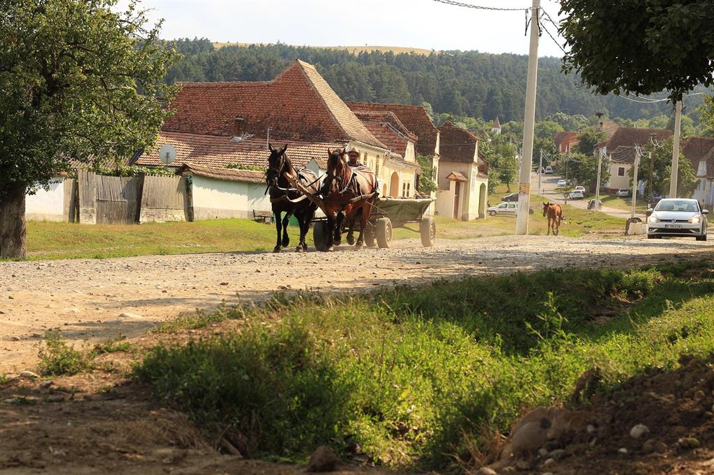 Pferde, Kutsche, Rumänien