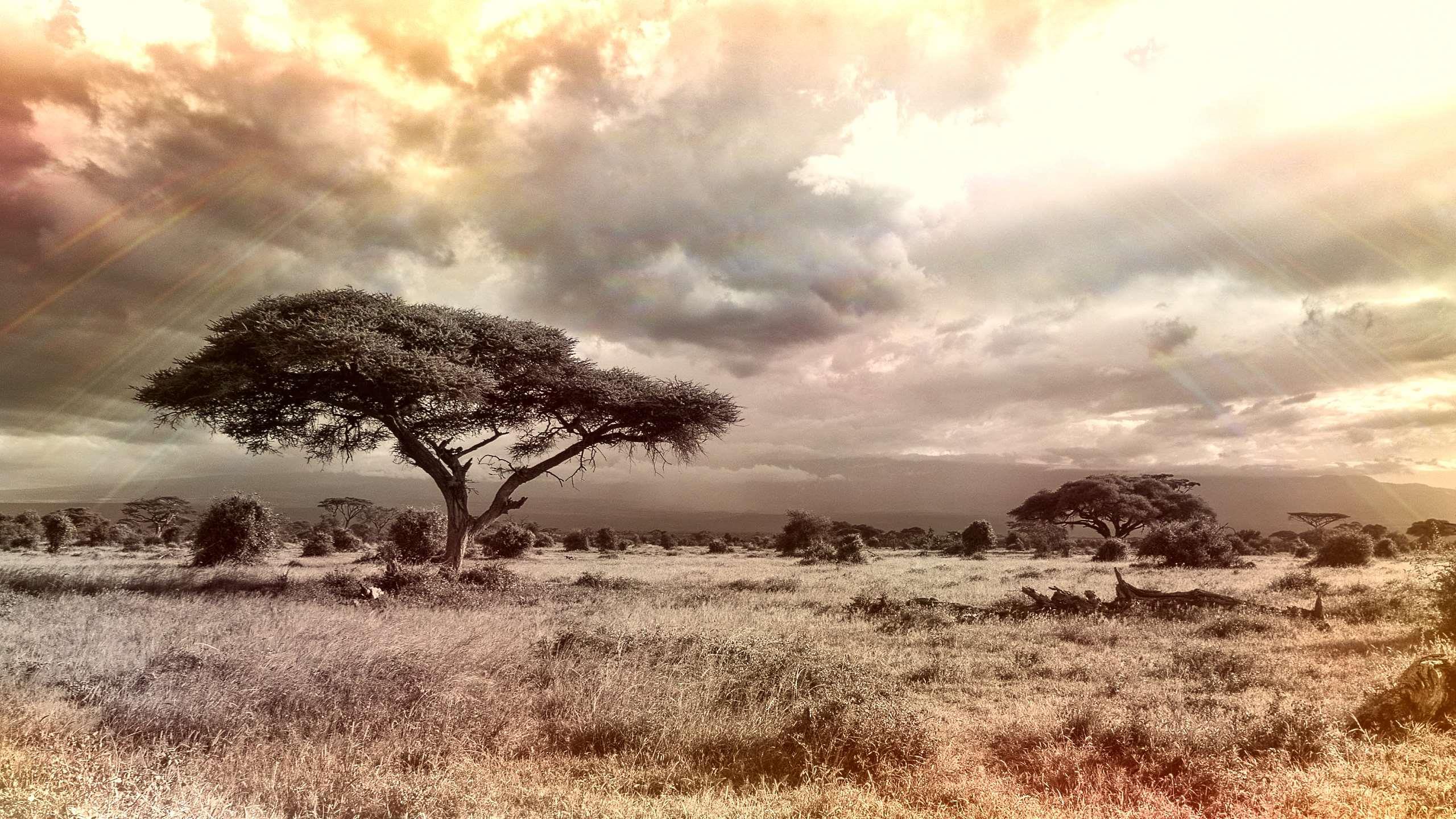 Landschaft in Afrika