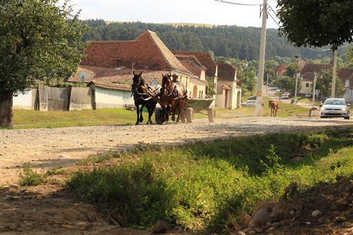 Pferde, Kutsche, Rumänien